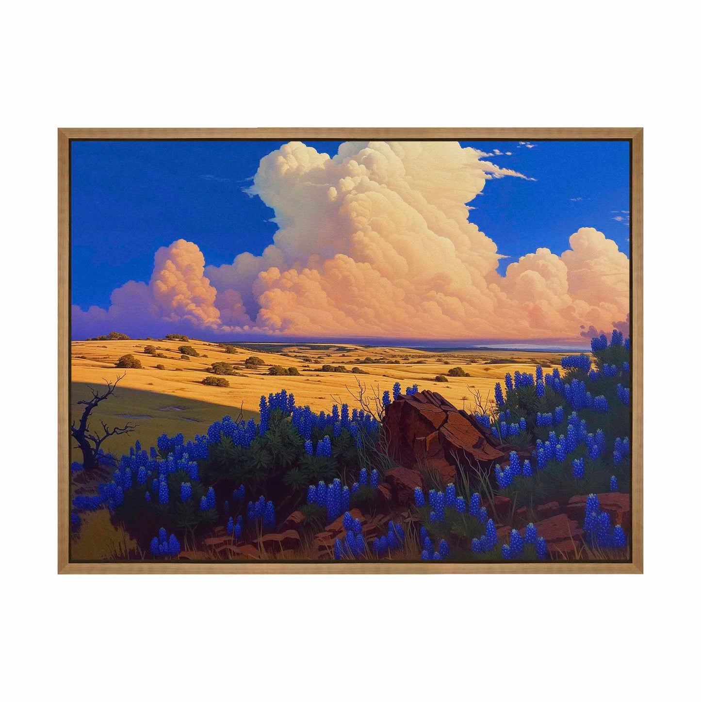 The Big Fields of Texas II - Gallery Wrapped Canvas