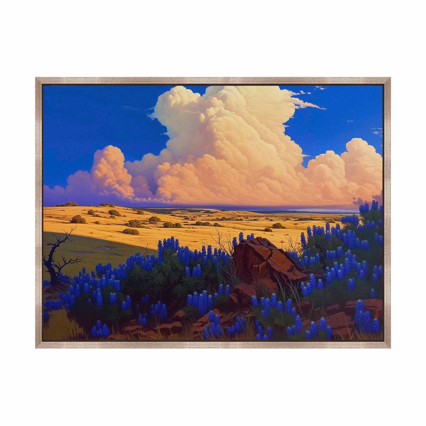The Big Fields of Texas II - Gallery Wrapped Canvas