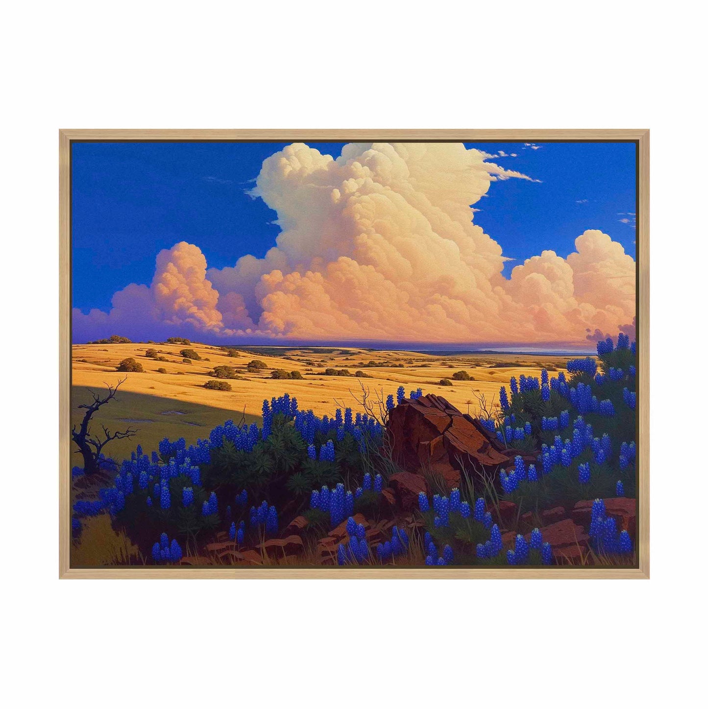 The Big Fields of Texas II - Gallery Wrapped Canvas