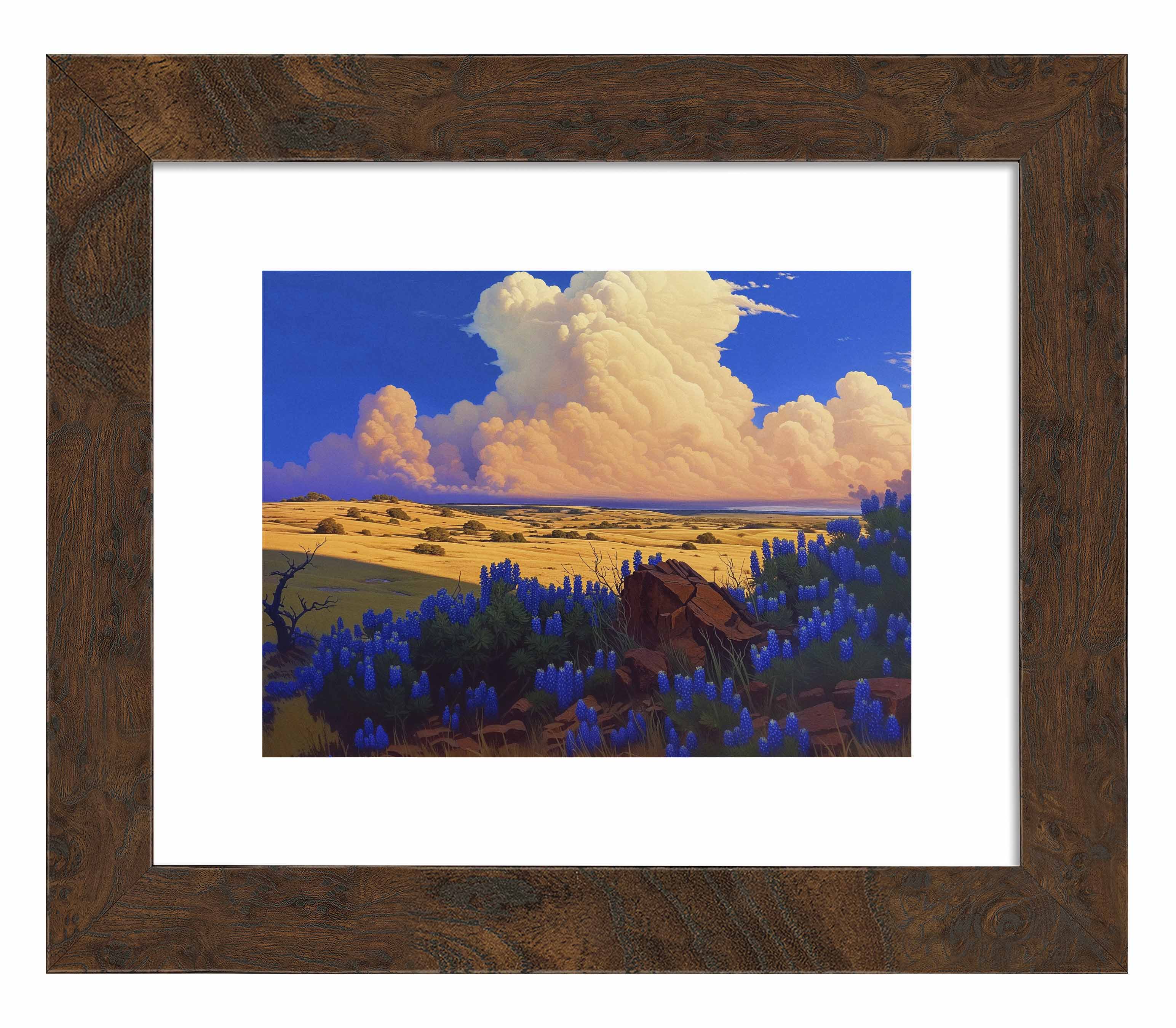 The Big Fields of Texas II - Art Prints Art Prints from Wild Wings
