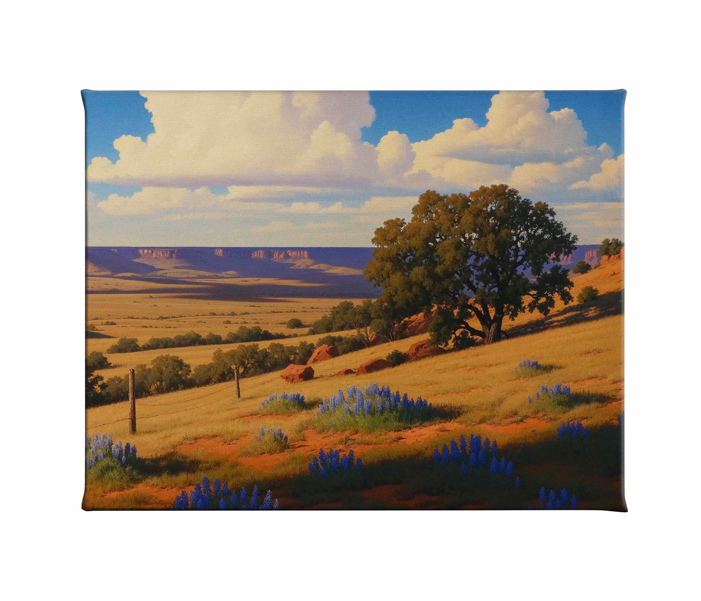 Bluebonnet Ranch - Gallery Wrapped Canvas