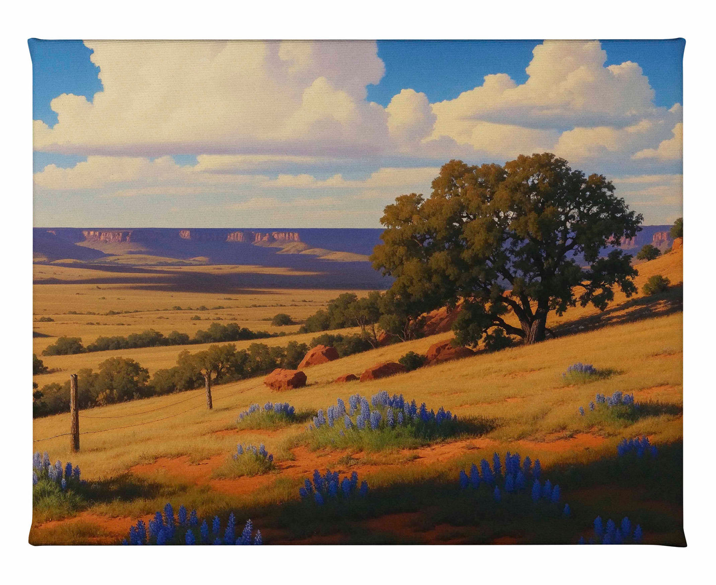 Bluebonnet Ranch - Gallery Wrapped Canvas