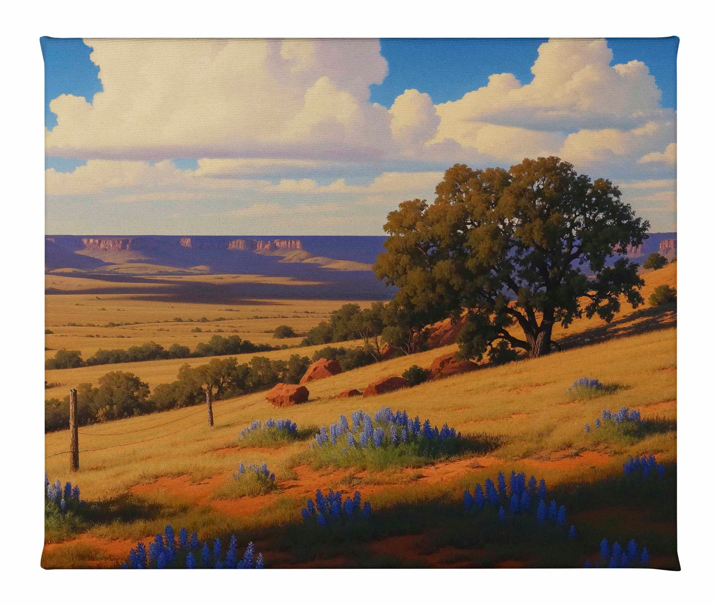 Bluebonnet Ranch - Gallery Wrapped Canvas