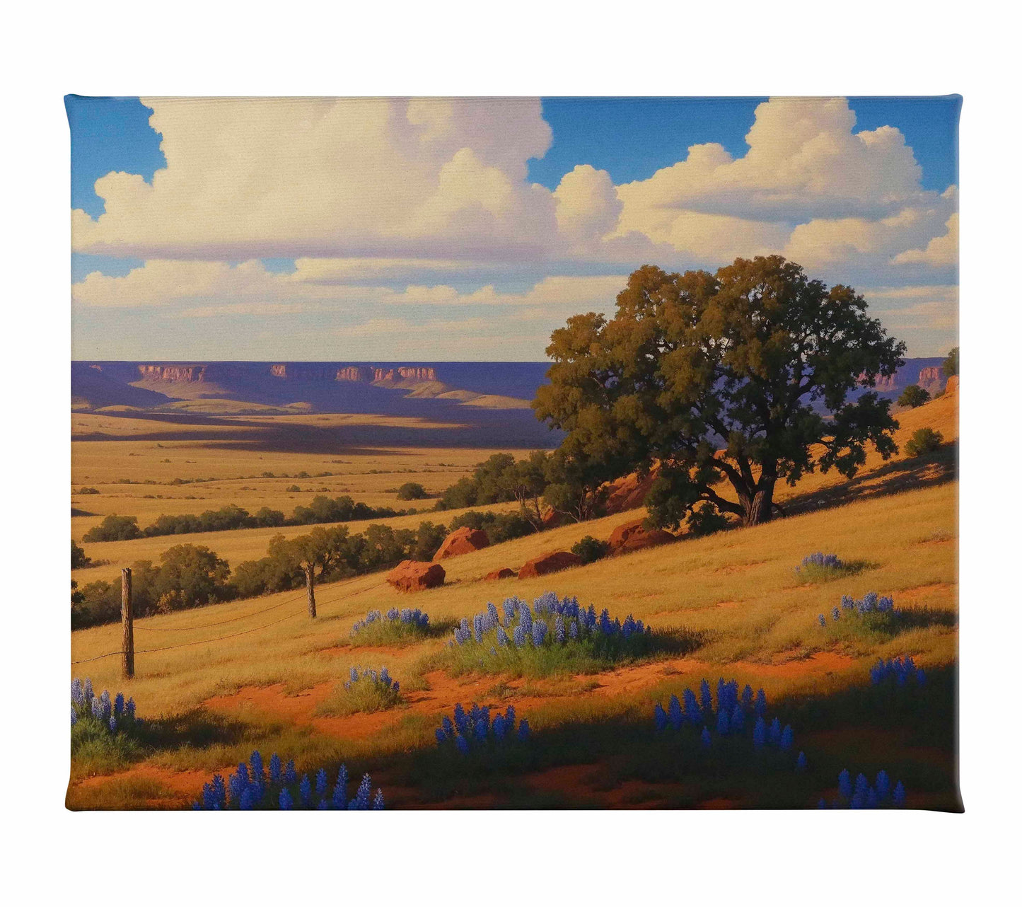 Bluebonnet Ranch - Gallery Wrapped Canvas