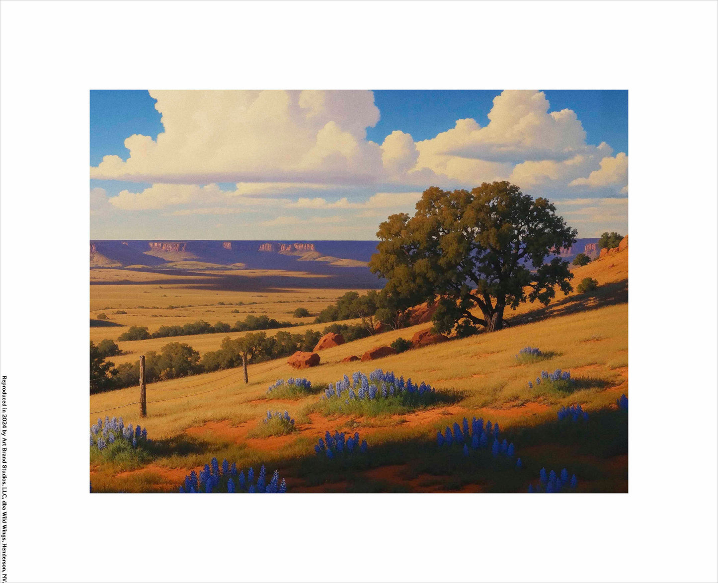 Bluebonnet Ranch - Art Prints