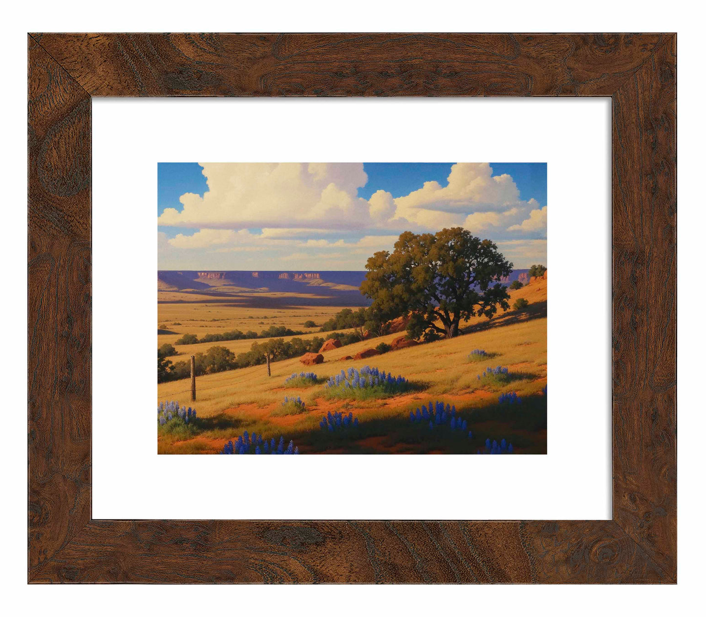 Bluebonnet Ranch - Art Prints