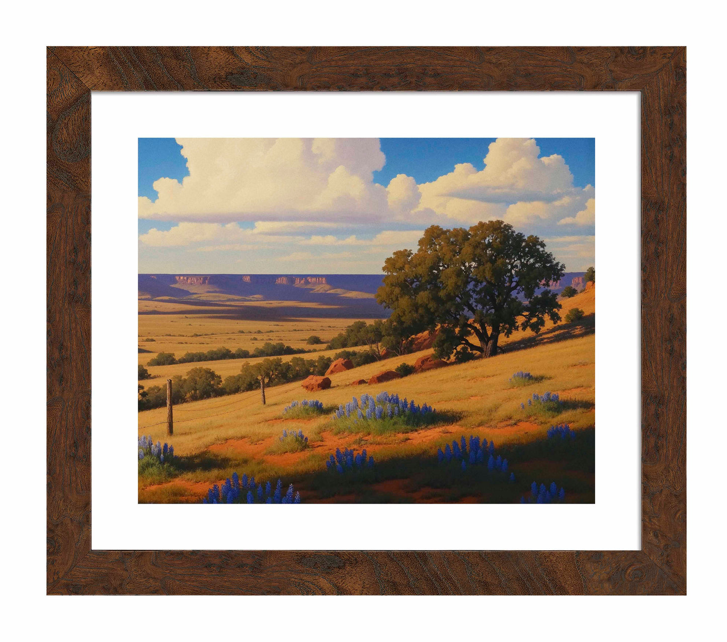 Bluebonnet Ranch - Art Prints