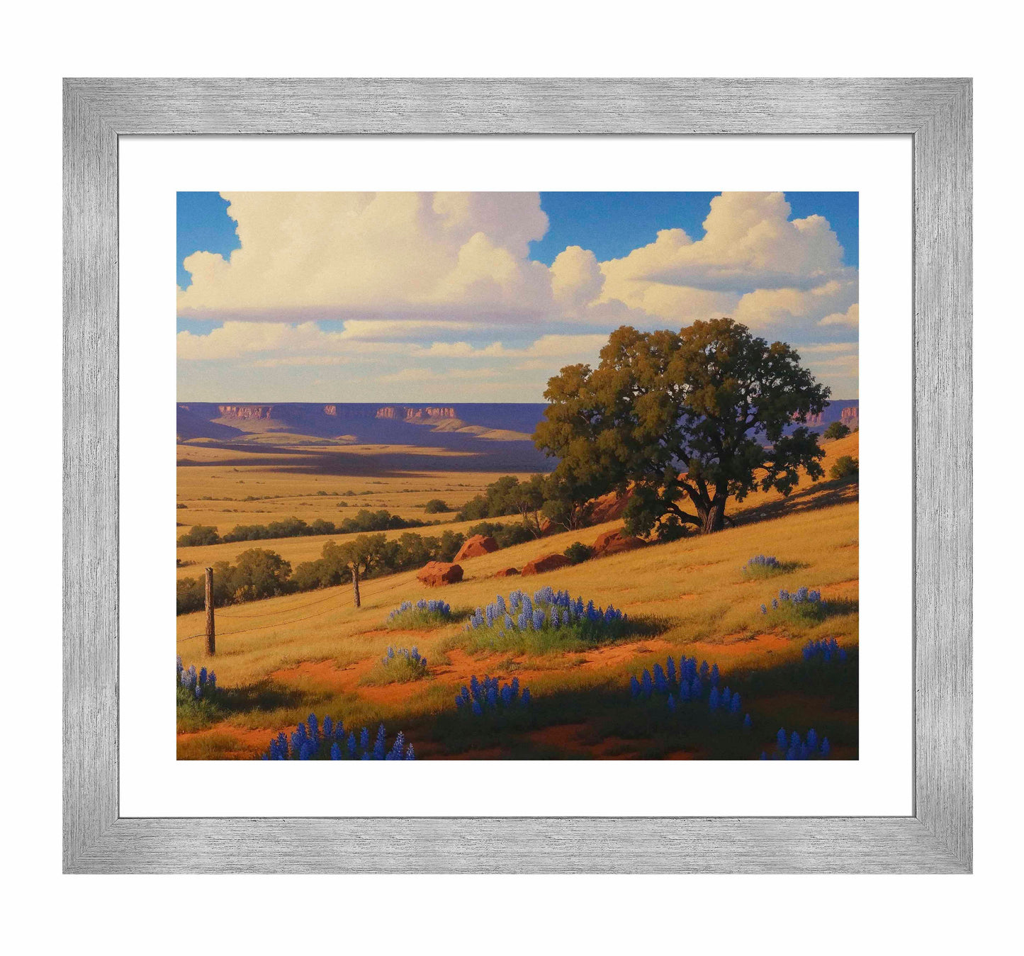 Bluebonnet Ranch - Art Prints