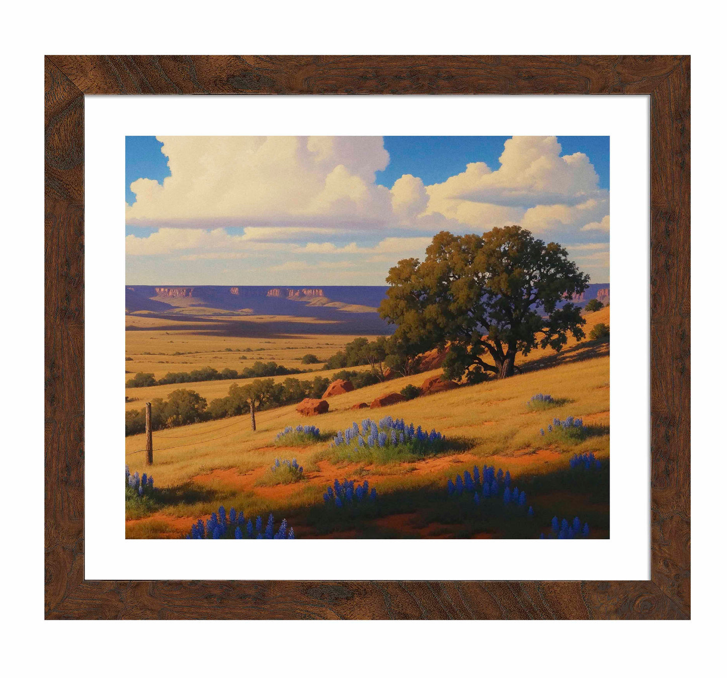 Bluebonnet Ranch - Art Prints