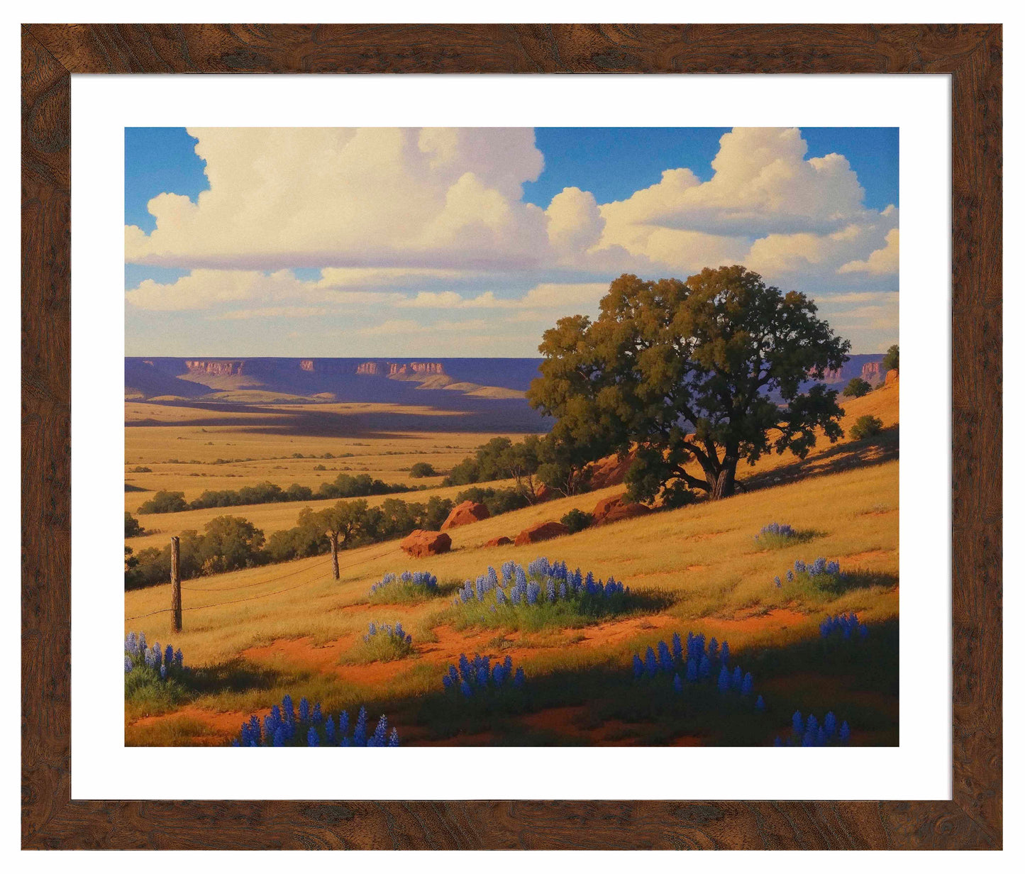 Bluebonnet Ranch - Art Prints