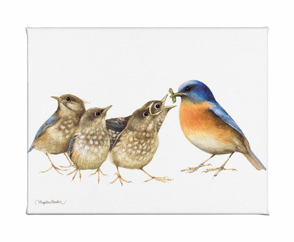 The Needy Bunch - Gallery Wrapped Canvas