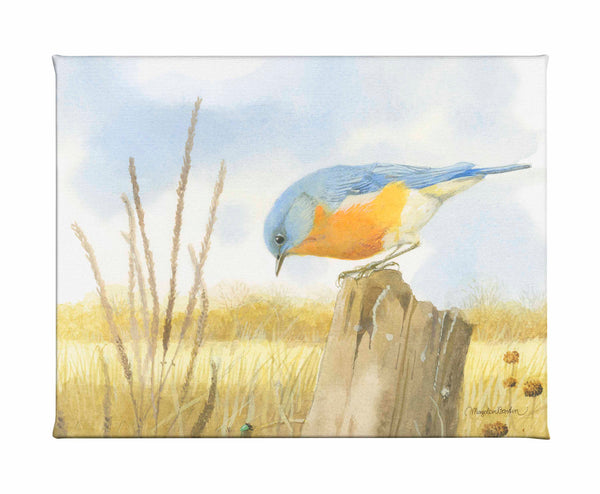 Scouring Around - Gallery Wrapped Canvas