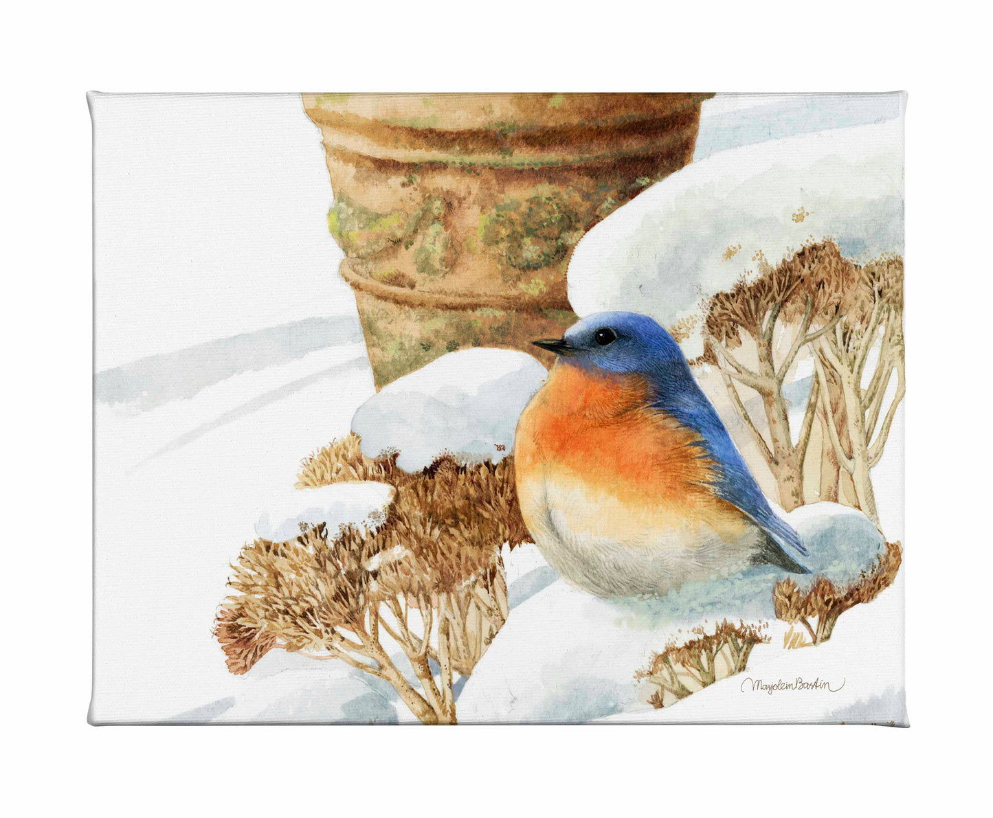 Winter Bluebird - Gallery Wrapped Canvas