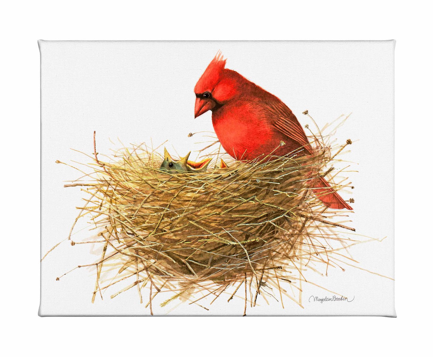 Inspecting the Brood - Gallery Wrapped Canvas