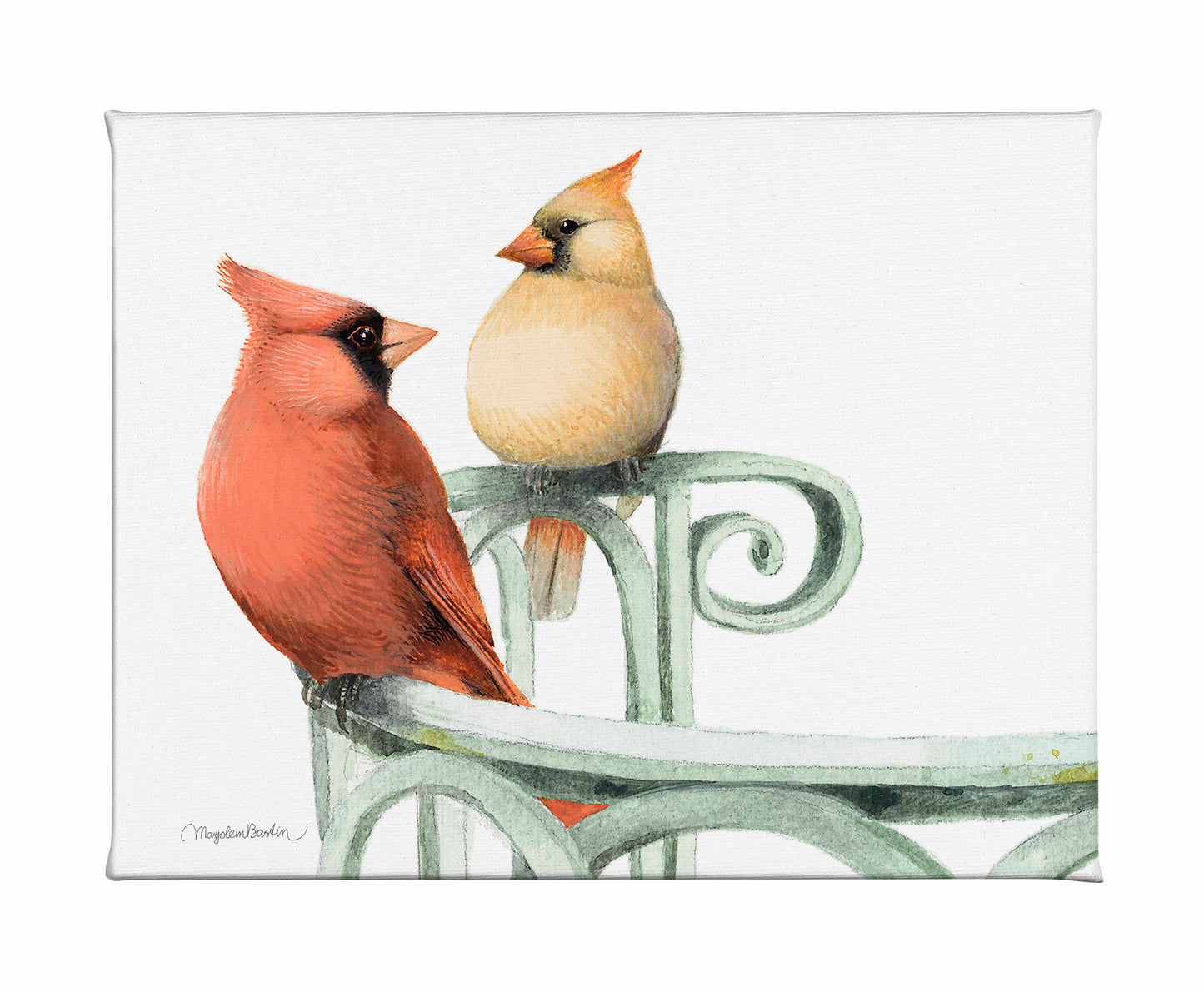 Cardinal Couple - Gallery Wrapped Canvas