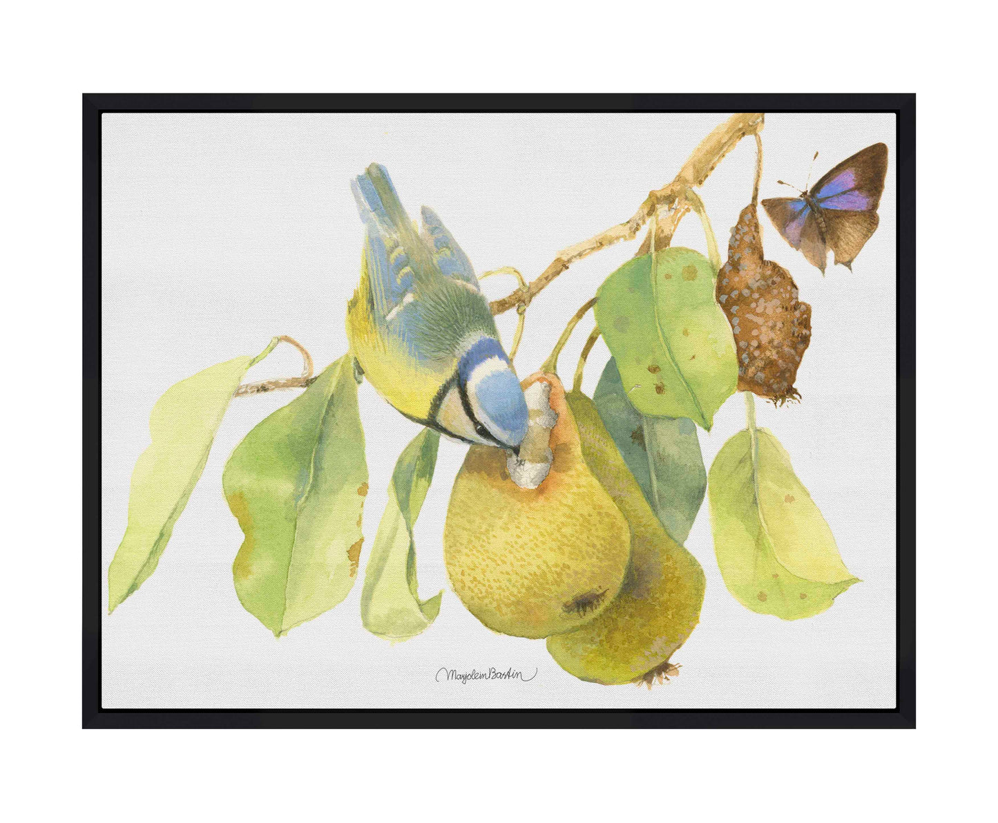 Blue Tit In the Orchard - Gallery Wrapped Canvas
