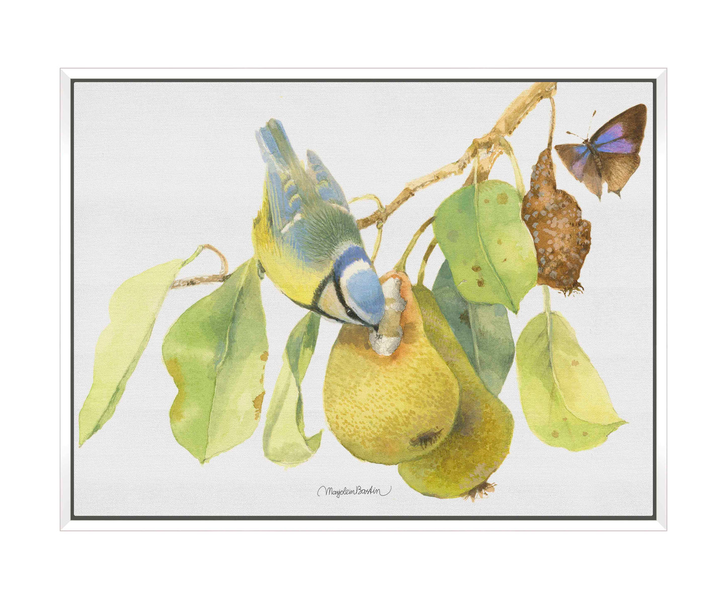 Blue Tit In the Orchard - Gallery Wrapped Canvas