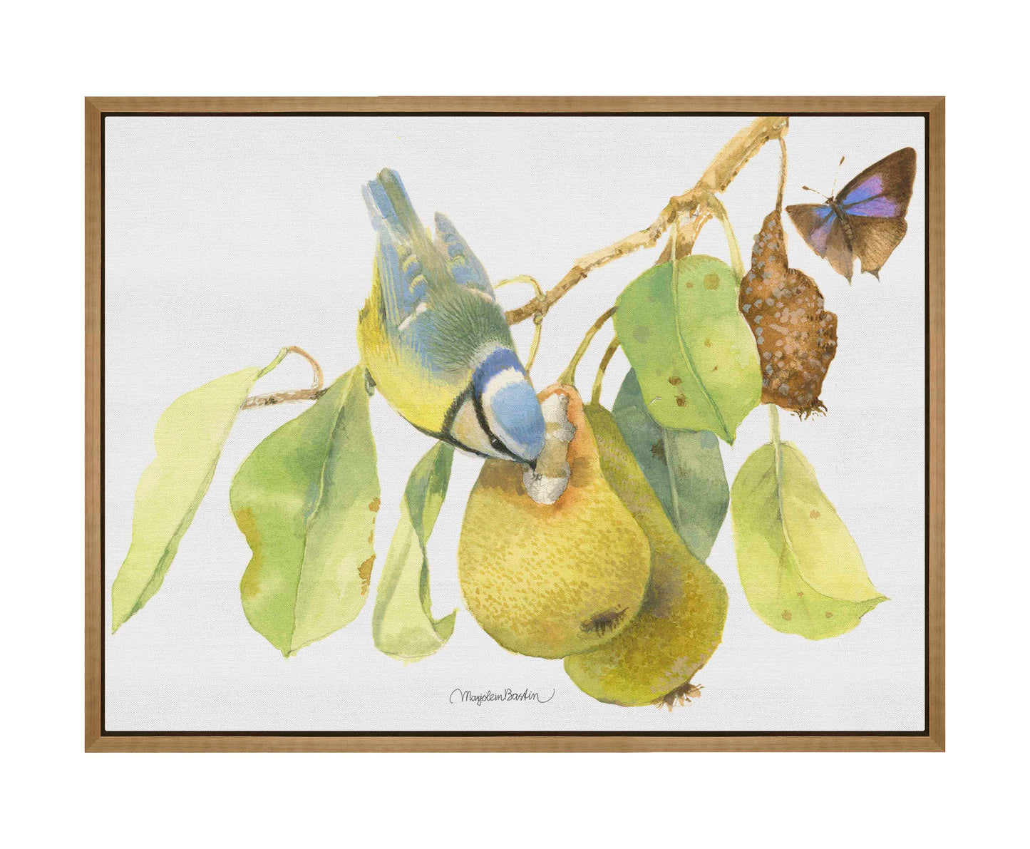 Blue Tit In the Orchard - Gallery Wrapped Canvas