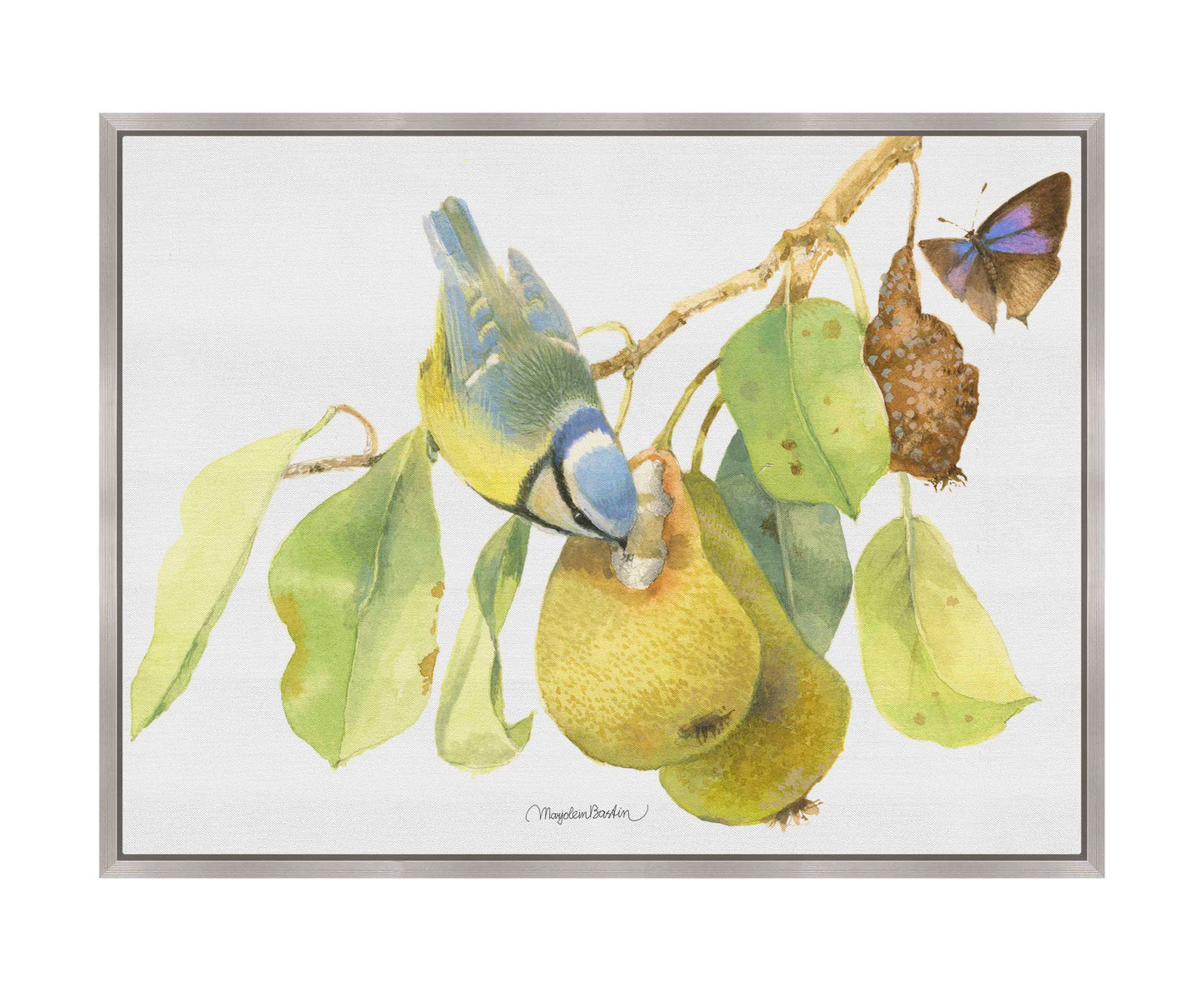 Blue Tit In the Orchard - Gallery Wrapped Canvas