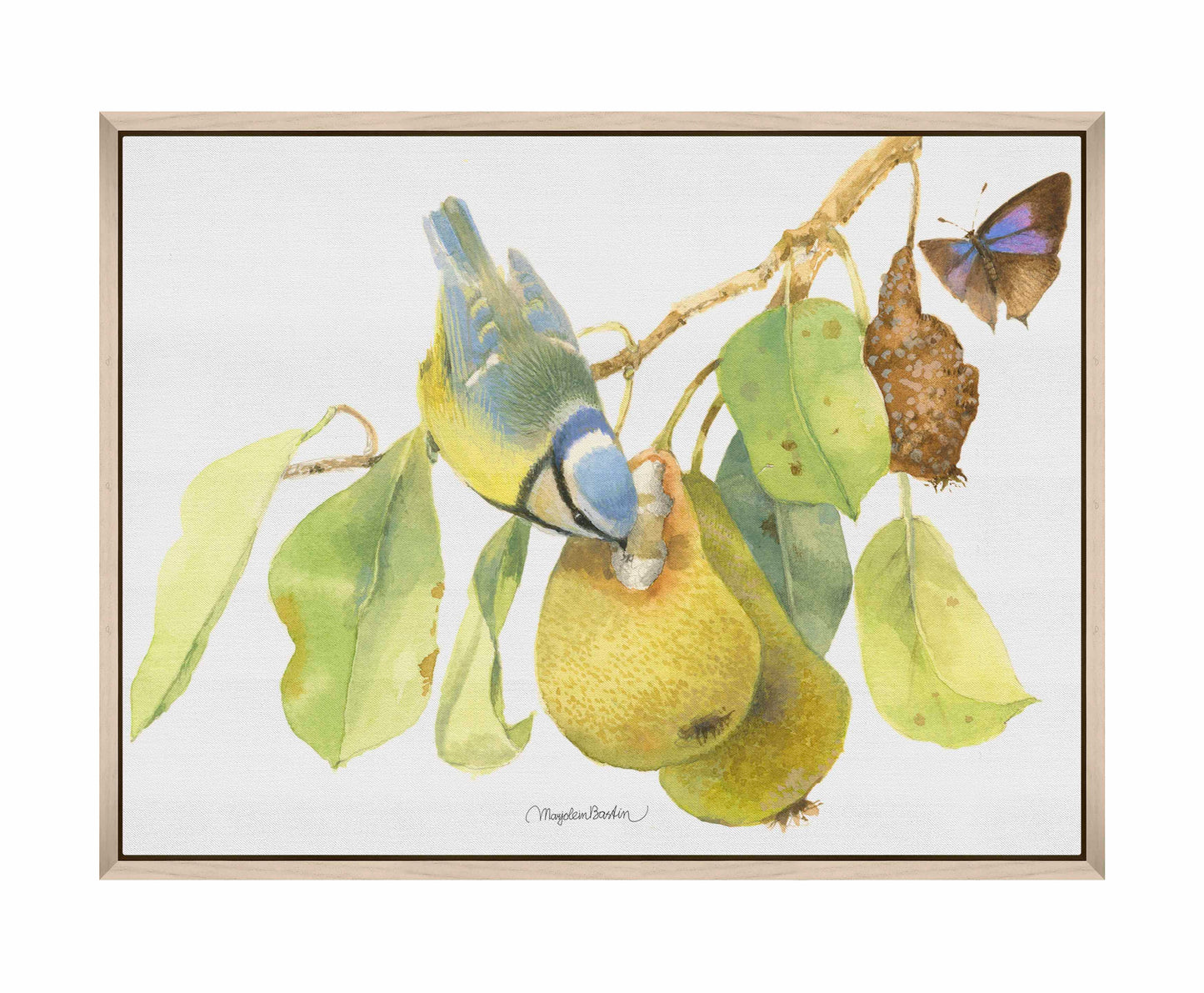 Blue Tit In the Orchard - Gallery Wrapped Canvas