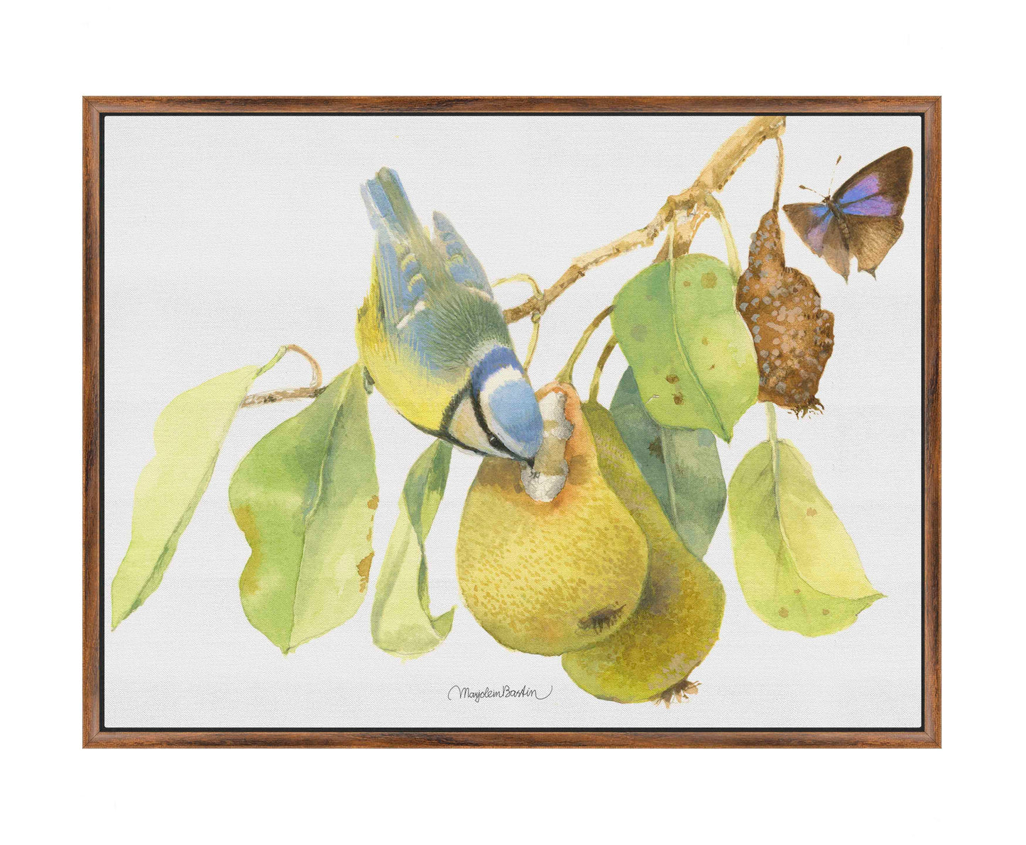 Blue Tit In the Orchard - Gallery Wrapped Canvas
