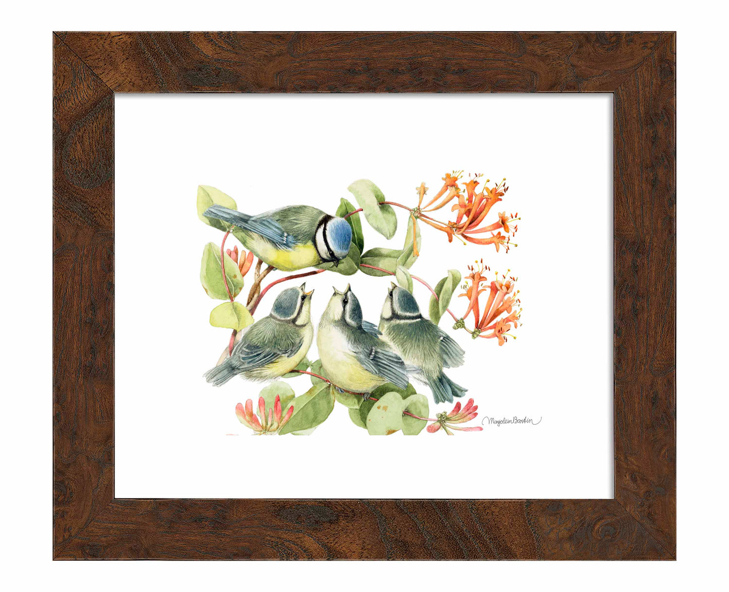 Always Hungry - Art Prints