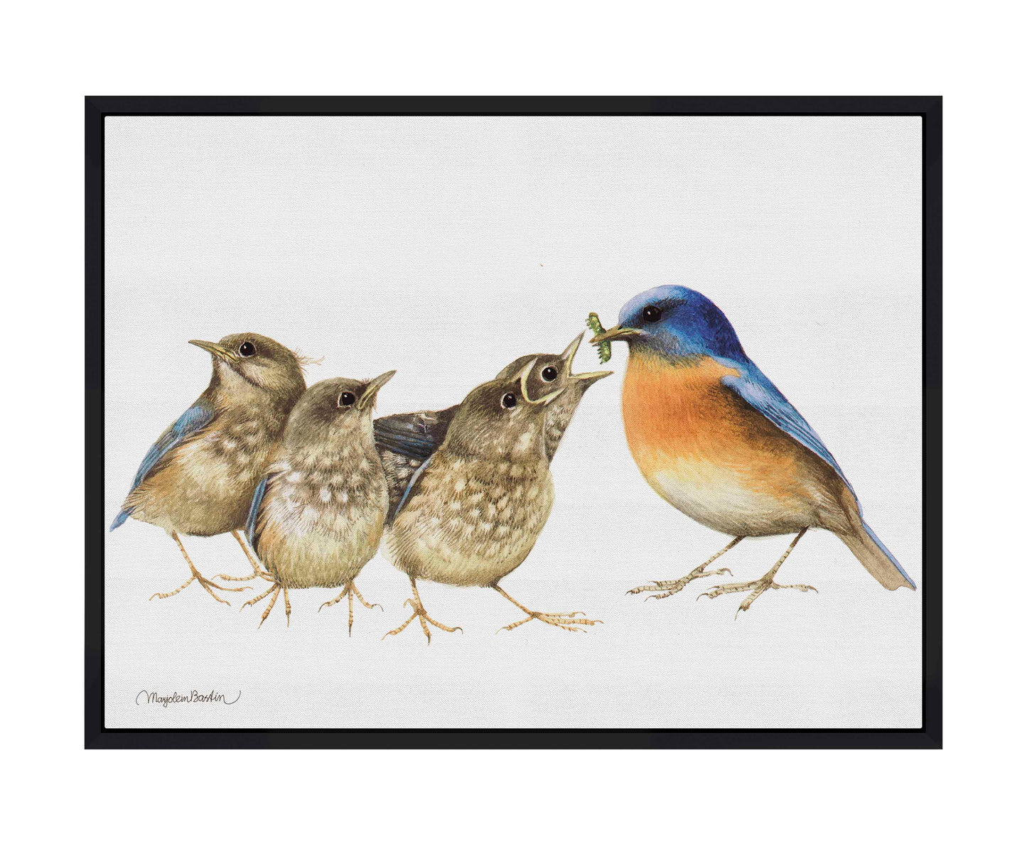 The Needy Bunch - Gallery Wrapped Canvas