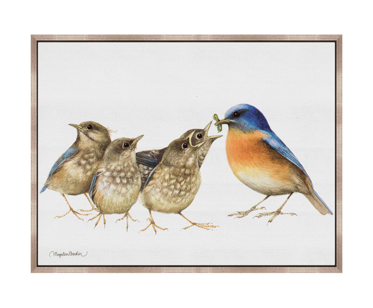 The Needy Bunch - Gallery Wrapped Canvas