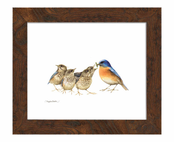 The Needy Bunch - Art Prints