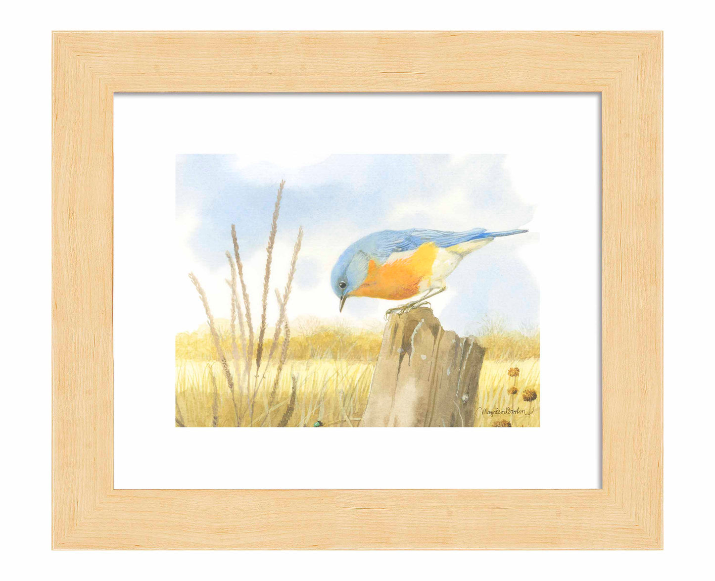 Scouring Around - Art Prints