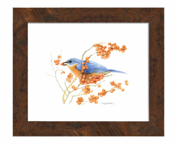 Berry Feast - Art Prints