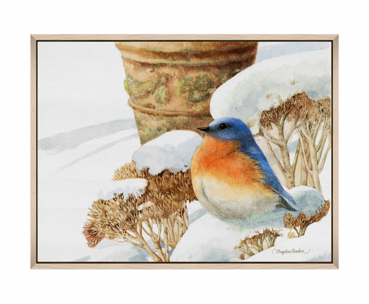Winter Bluebird - Gallery Wrapped Canvas