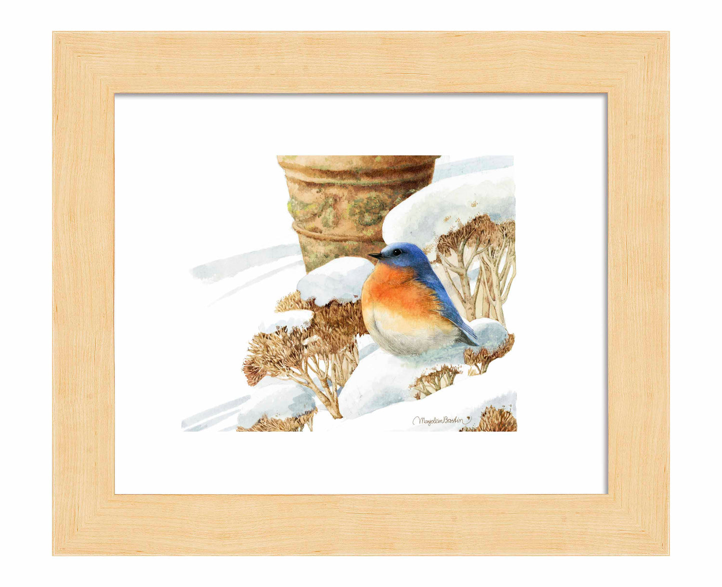 Winter Bluebird - Art Prints