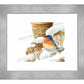 Winter Bluebird - Art Prints