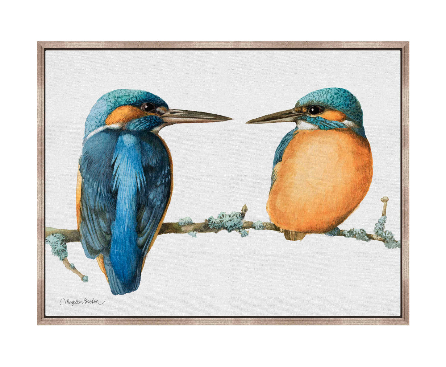 The Common Kingfisher - Gallery Wrapped Canvas