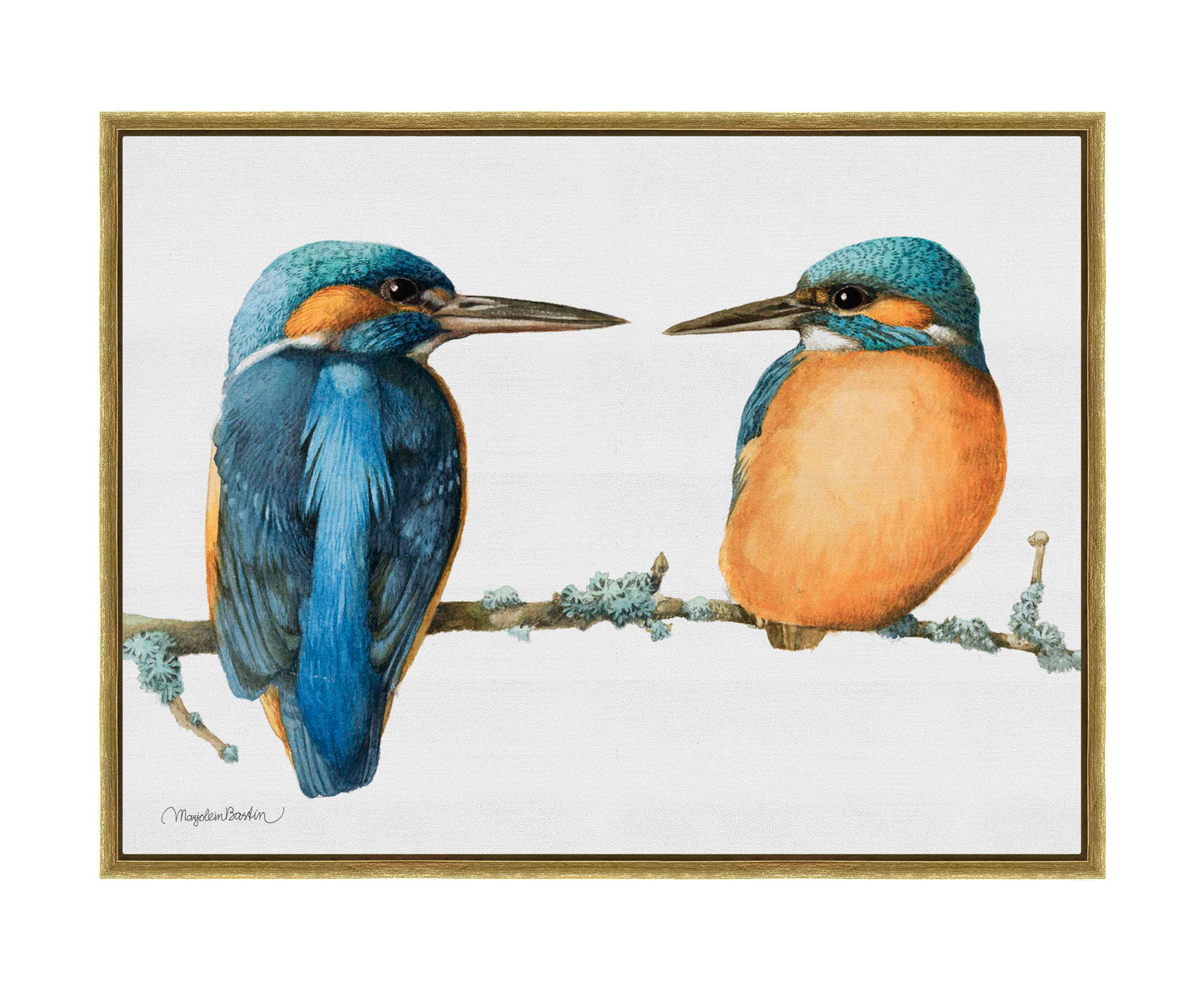 The Common Kingfisher - Gallery Wrapped Canvas