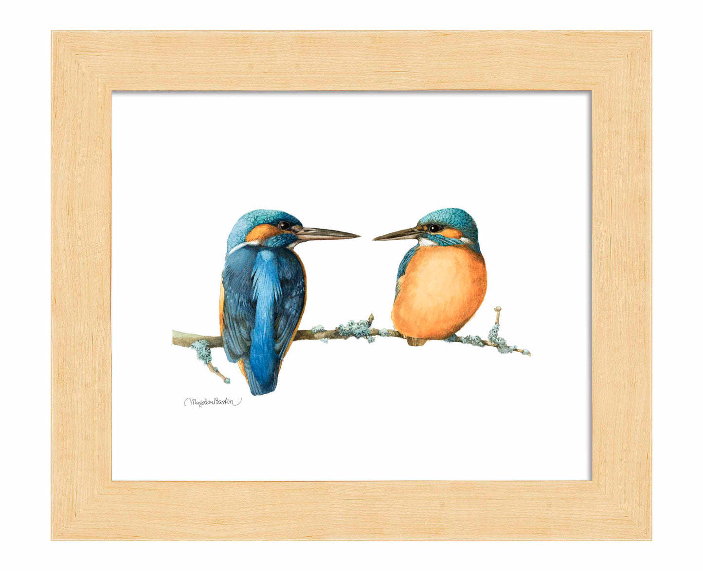 The Common Kingfisher - Art Prints