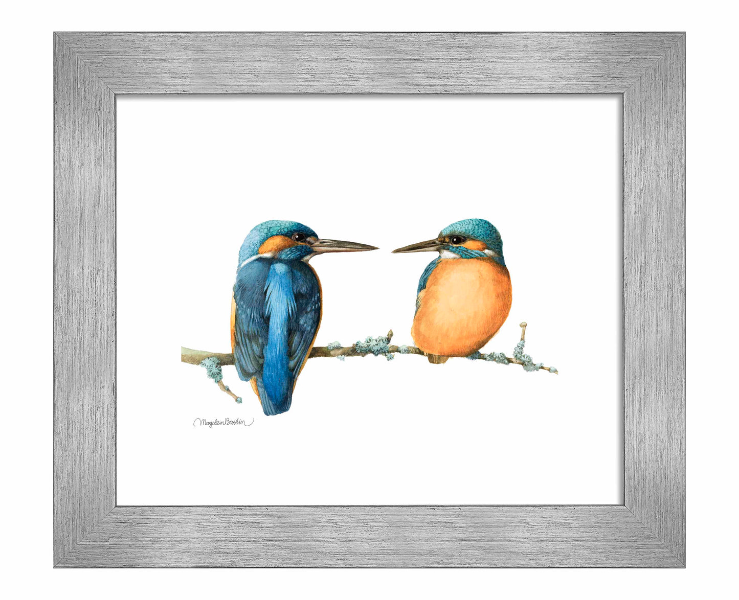 The Common Kingfisher - Art Prints