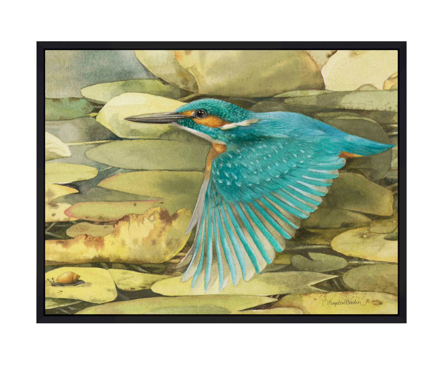 Kingfisher in Flight - Gallery Wrapped Canvas