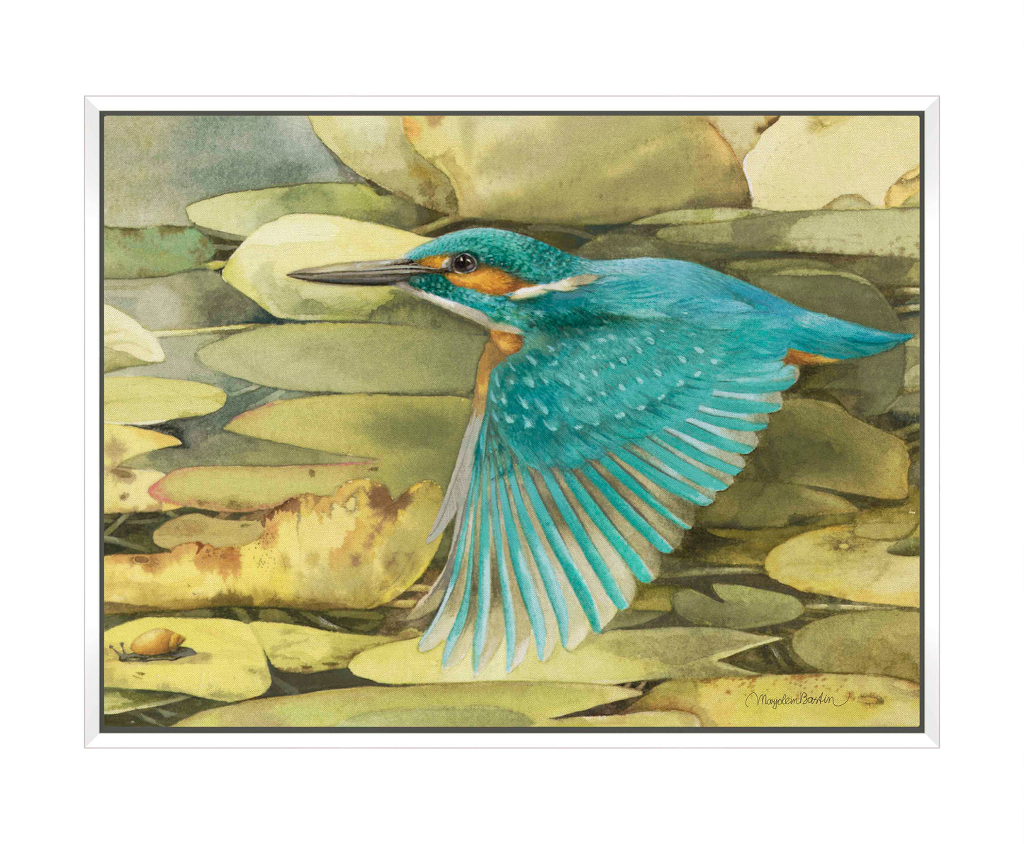 Kingfisher in Flight - Gallery Wrapped Canvas