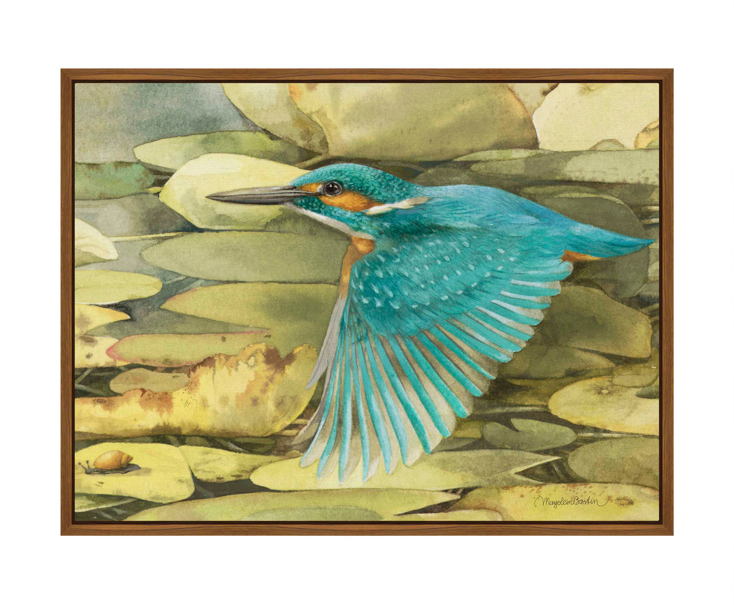 Kingfisher in Flight - Gallery Wrapped Canvas