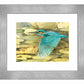 Kingfisher in Flight - Art Prints