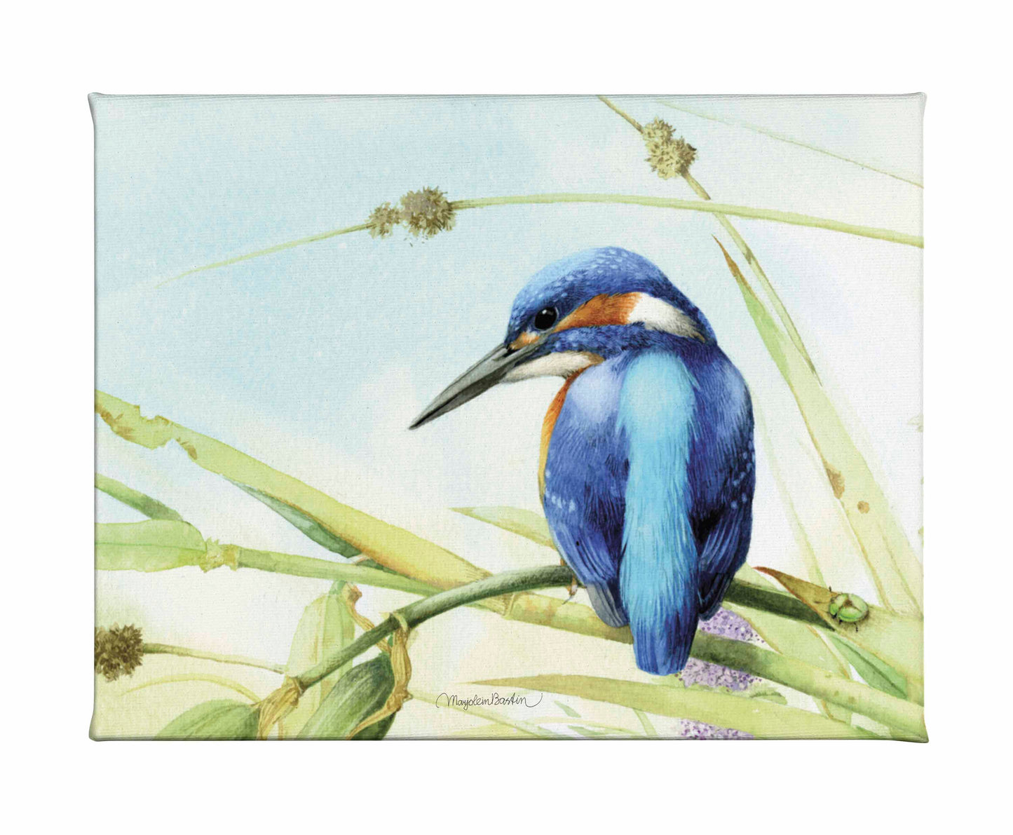 Keeping an Eye Out - Gallery Wrapped Canvas