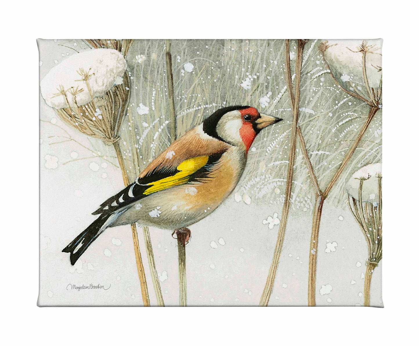 A Blast of Color - Gallery Wrapped Canvas