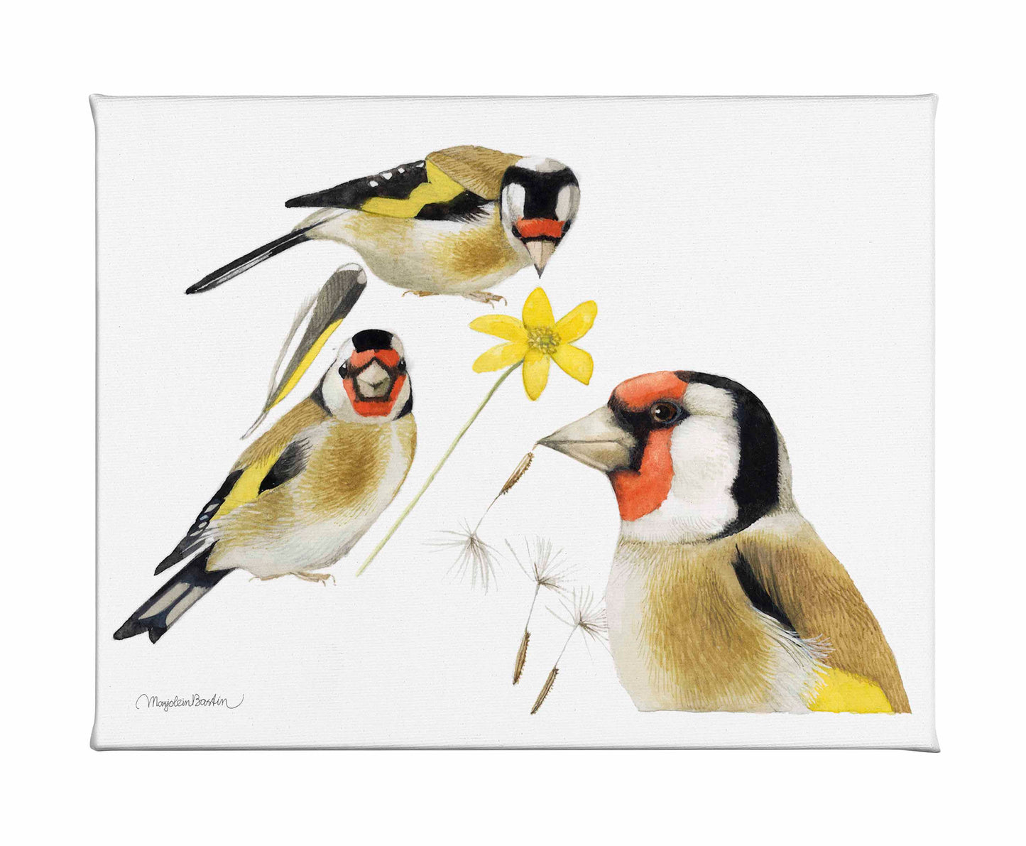 True Colors - Gallery Wrapped Canvas