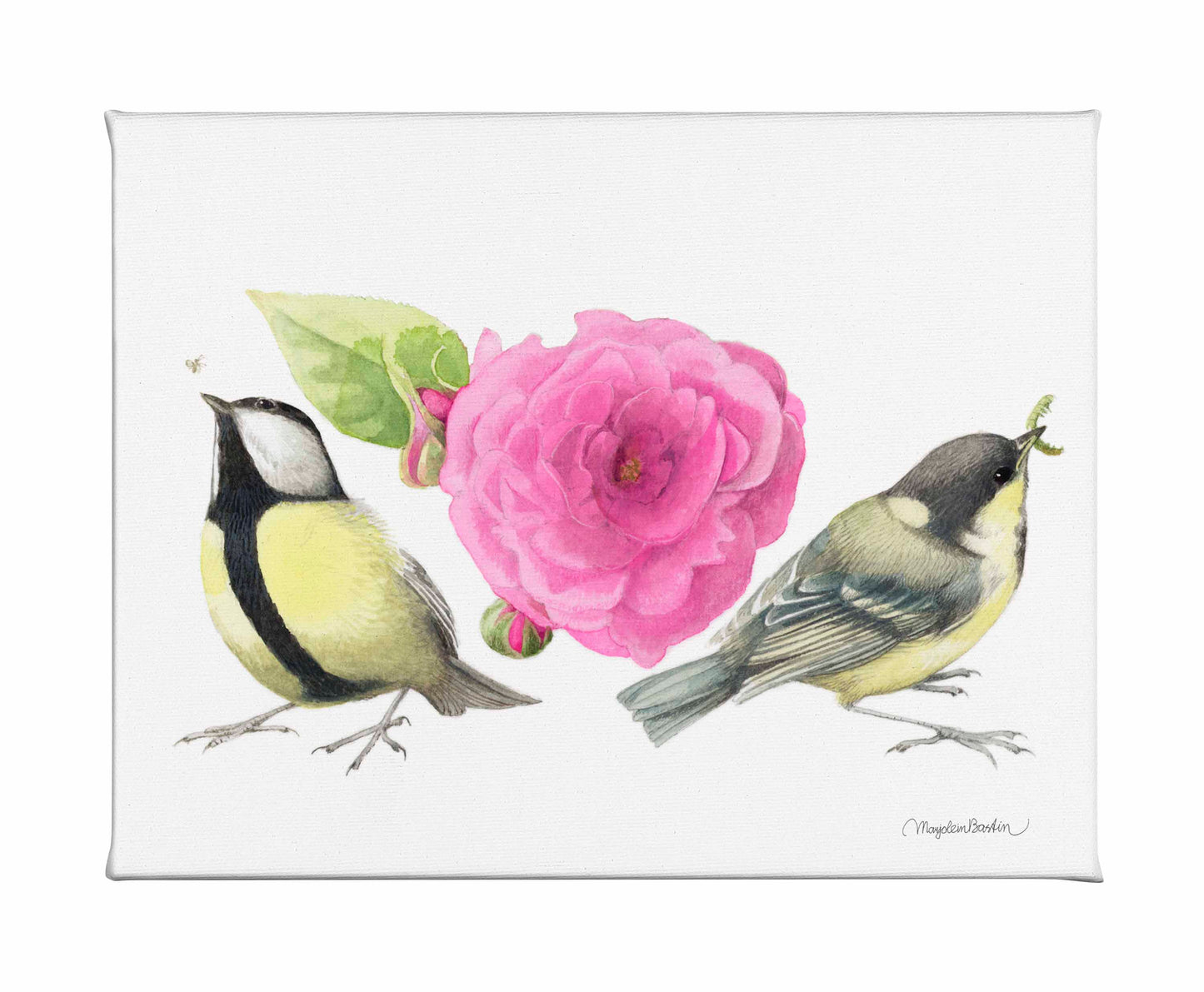 Zepherin Drouhin Rose - Gallery Wrapped Canvas