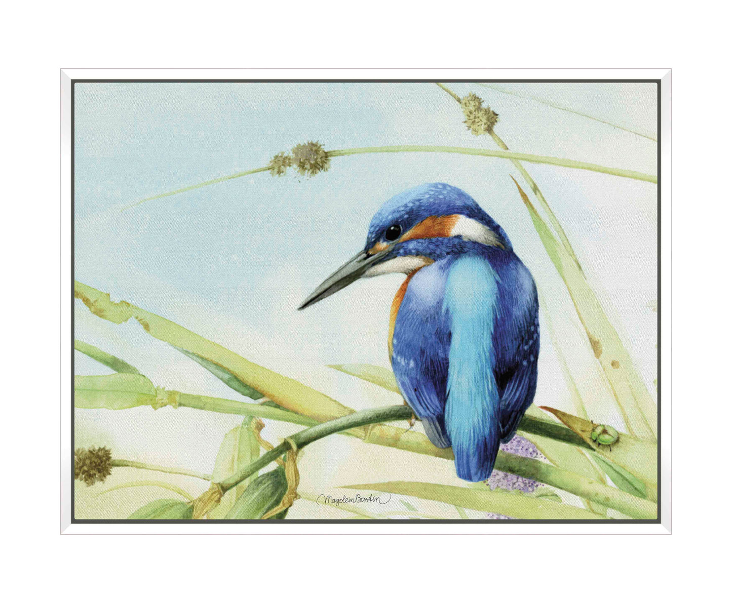 Keeping an Eye Out - Gallery Wrapped Canvas