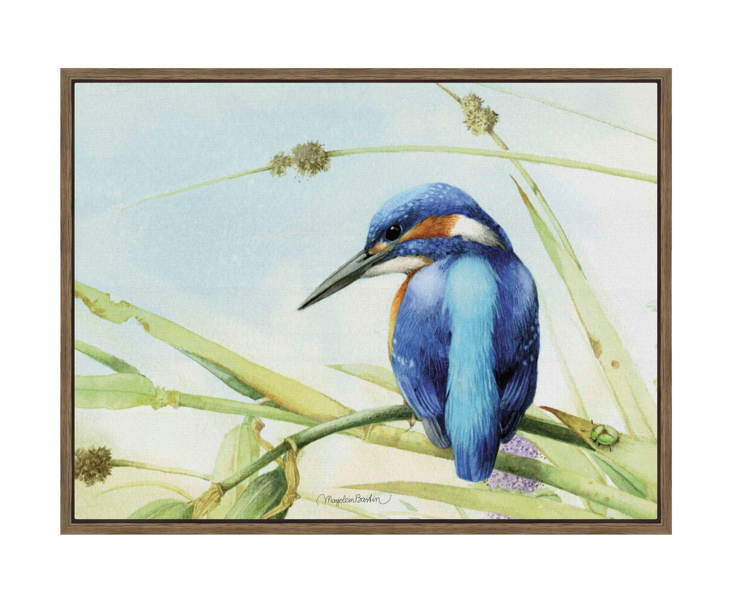 Keeping an Eye Out - Gallery Wrapped Canvas