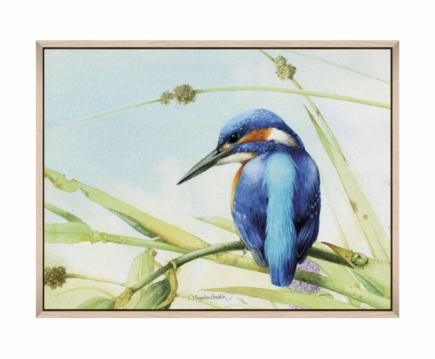 Keeping an Eye Out - Gallery Wrapped Canvas