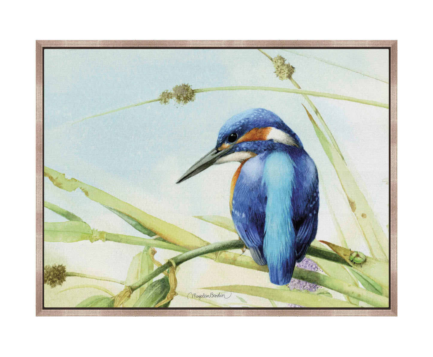 Keeping an Eye Out - Gallery Wrapped Canvas